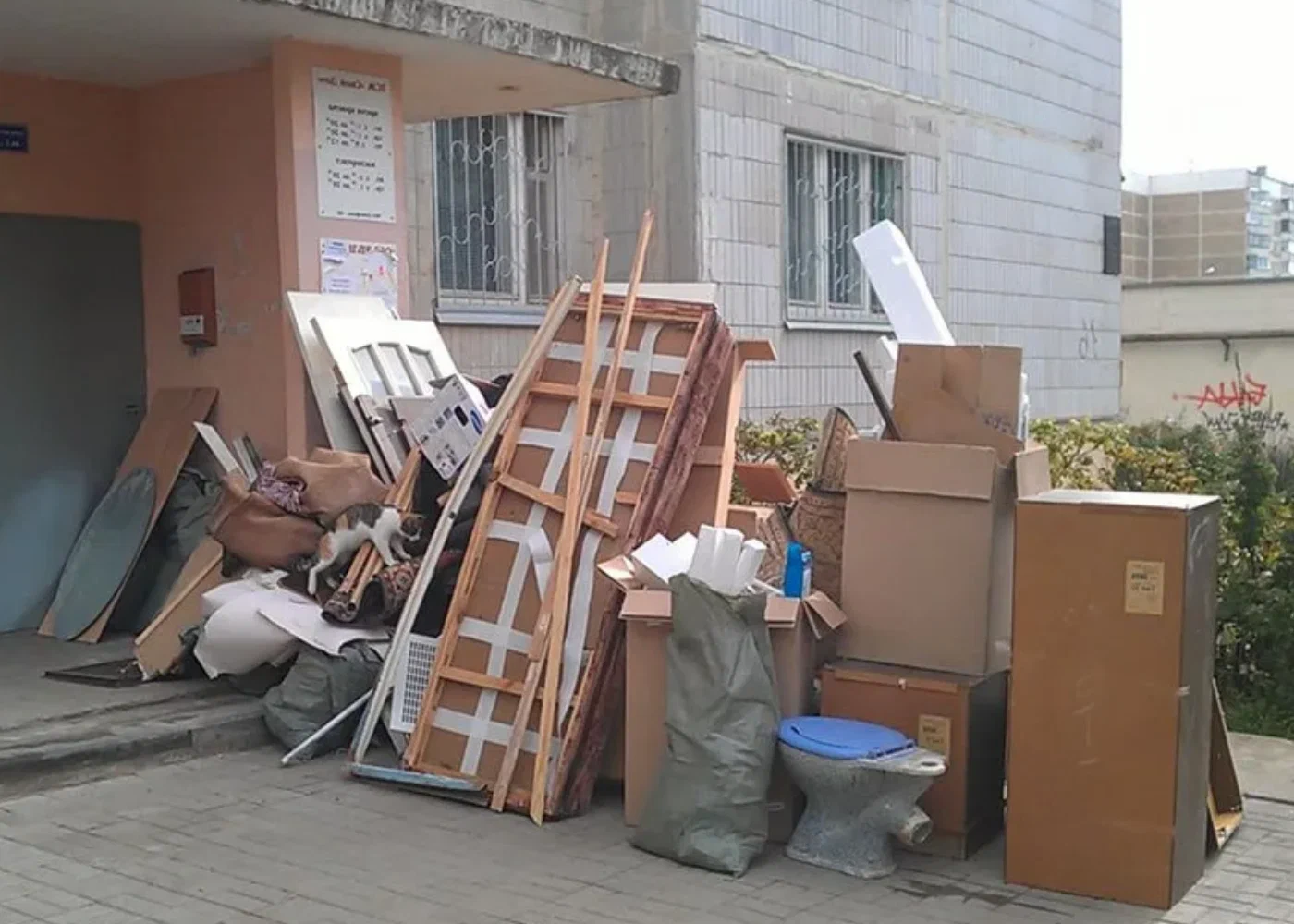 Профессиональный вывоз мусора из квартиры в Тихвине в октябре