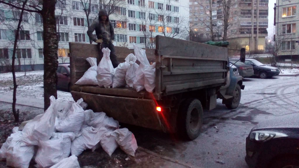 Вывоз мусора в мешках в Тихвине в октябре