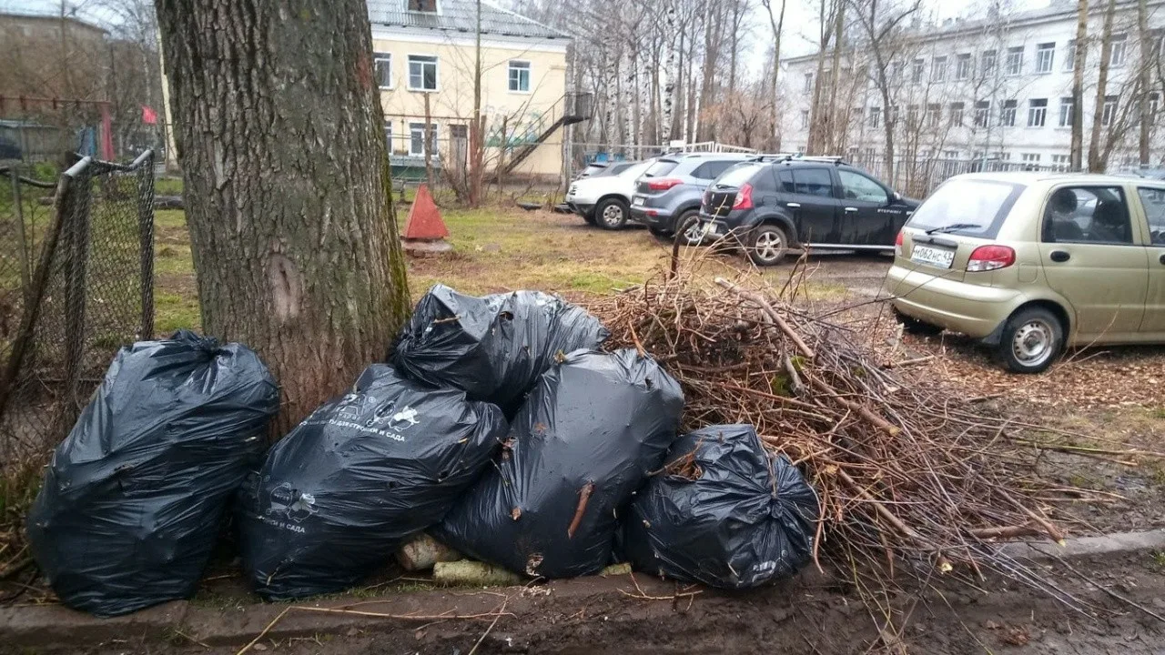 Вывоз мусора после субботника в Тихвине от ПроМусор – уборка и утилизация отходов от 2568 руб