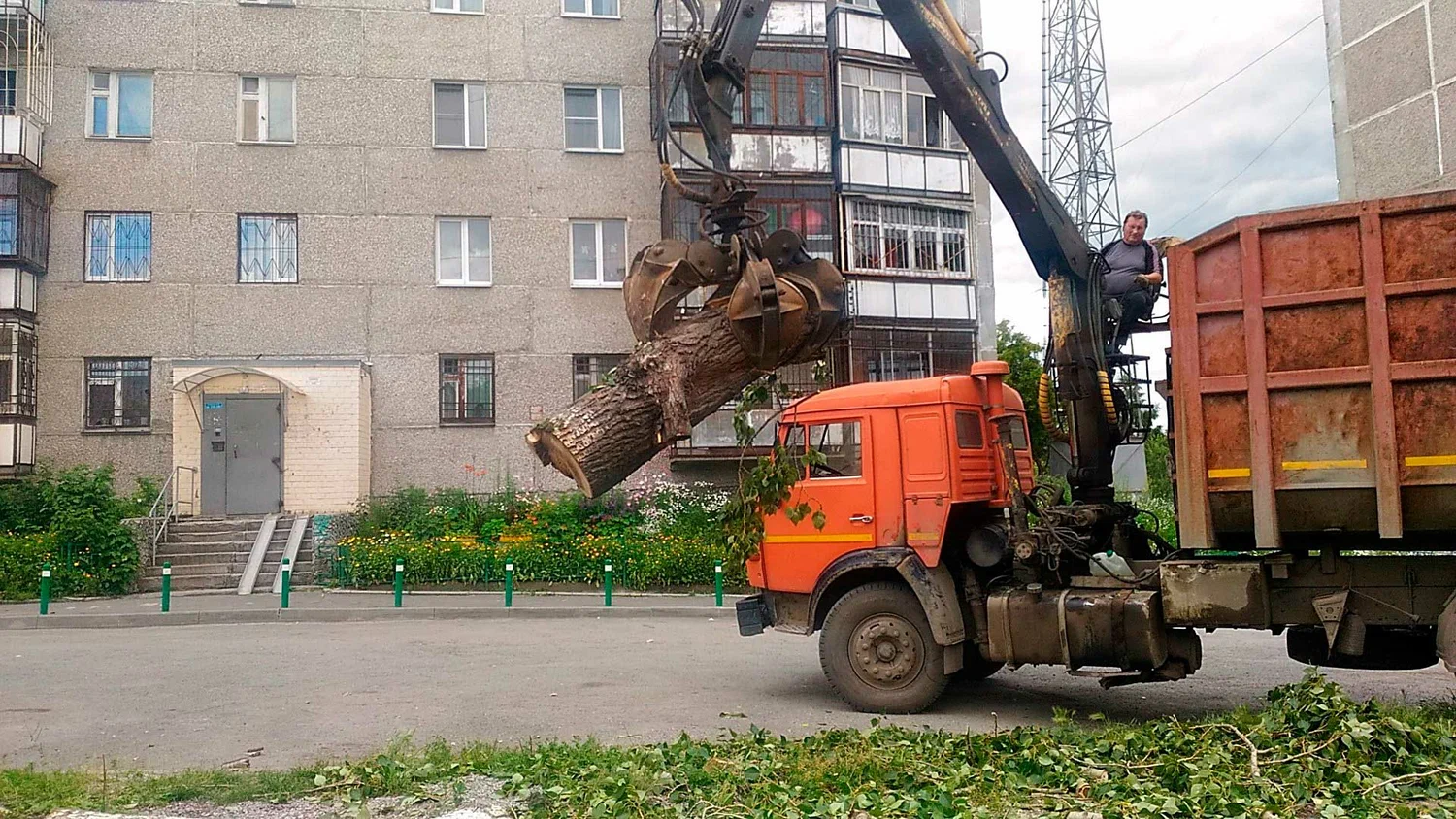 Вывоз спиленных веток и деревьев в Тихвине от ПроМусор: порубочные остатки, утилизация, цена от 3169 руб