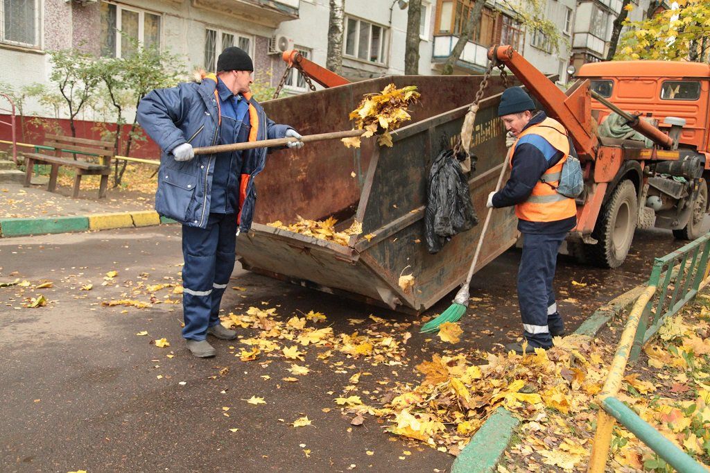 Вывоз опавшей листвы и растительного мусора в Тихвине от ПроМусор – цена от 4918 руб., быстрая уборка и утилизация